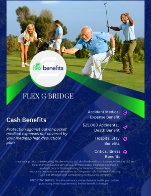 Flex G Bridge Brochure