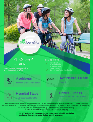 FlexGap Series Brochure
